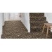 Alternative Flooring Quirky B Leopard