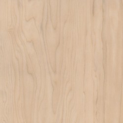 Amtico Signature LVT Sugar Maple AR0W8020