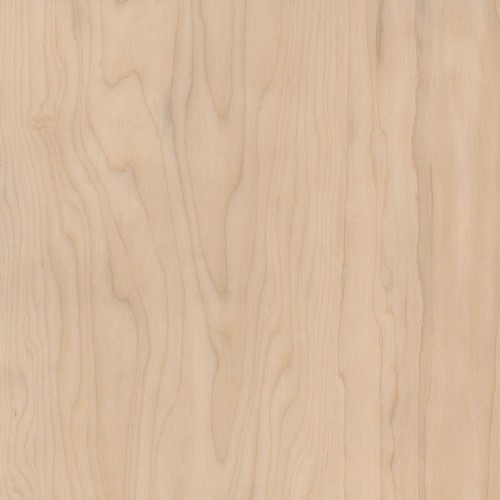 Amtico Signature LVT Sugar Maple AR0W8020