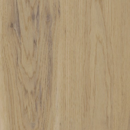 Amtico Spacia LVT Canopy Oak SS5W1020