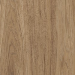 Amtico Spacia LVT Smoothbark Hickory SS5W2545