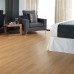 Amtico Spacia LVT Limed Wood Natural SS5W2549