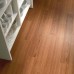 Amtico Spacia LVT Warm Cherry SS5W2506