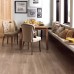 Karndean Van Gogh Frosted Birch